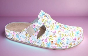 D-1251 leptir klompa 38