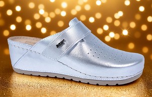 D-1271 srebrna klompa 37